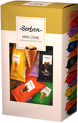 Rainbow Mini Cone
